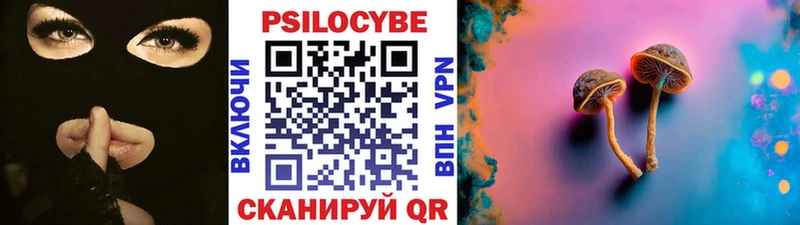 Галлюциногенные грибы ЛСД Белая Холуница